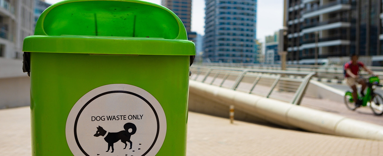 Green dog waste in green colour bin in city walkway Green dog waste in green colour bin in city walkway